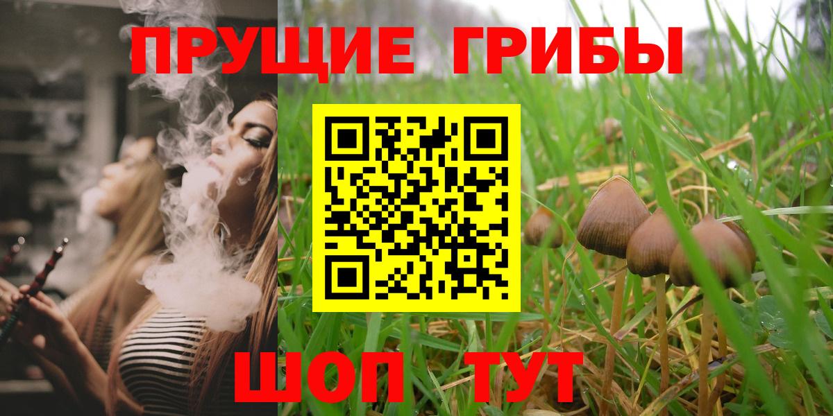 Псилоцибиновые грибы мицелий Пенза