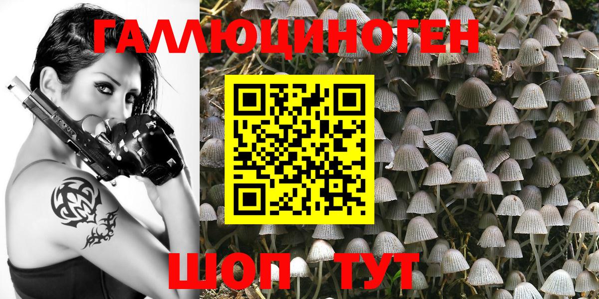 Пенза  Псилоцибиновые грибы Psilocybe  Вход с VPN 